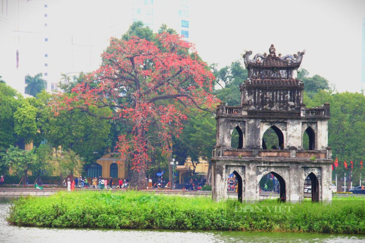 Bong Ha Noi Hostel Hanoi Zewnętrze zdjęcie